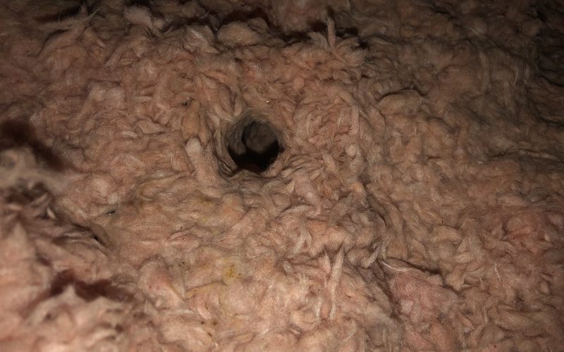 Attic Cleanup in Spokane, WA